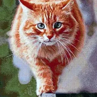 Вышивка Рыжий кот