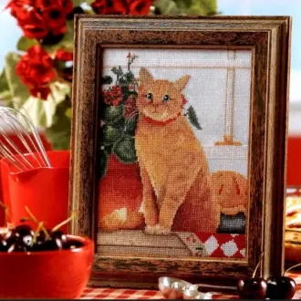 Вышивка Рыжий кот