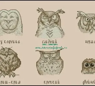 Вышивка Совы