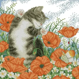 Вышивка Кот в маках
