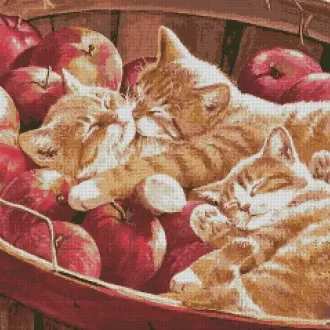 Вышивка Рыжие котики в корзине яблок