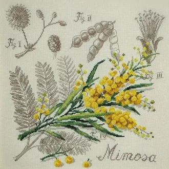 Вышивка Мимоза