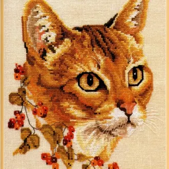 Вышивка Кошечка
